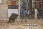 Un Monteviejo, el millor espantat de la Miseric?rdia