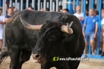 Un Monteviejo, el millor espantat de la Miseric?rdia