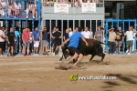 Borriana celebra una altra vesprada de bous
