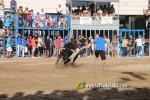 Borriana celebra una altra vesprada de bous