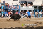 Borriana celebra una altra vesprada de bous