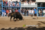 Borriana celebra una altra vesprada de bous