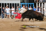Borriana celebra una altra vesprada de bous