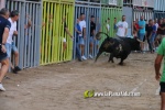 Borriana celebra una altra vesprada de bous