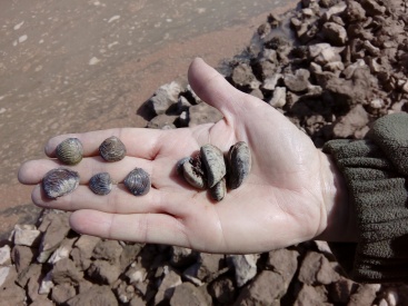 Fotografia /Galeria/2023/9/212811_134396/2_M1.jpg