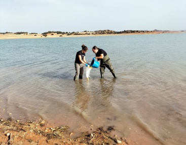 Fotografia /Galeria/2023/9/212811_134396/3_M1.jpg