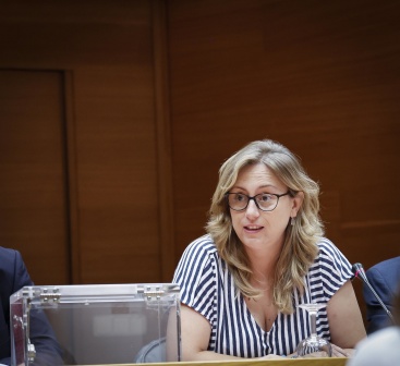 Chuli� (PP): 'Maz�n baja los impuestos a todos y los socialistas de Puig siguen defendiendo pagar m�s'