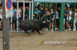 Burriana tanca les exhibicions taurines de la Miseric?rdia