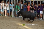 Burriana tanca les exhibicions taurines de la Miseric?rdia