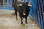 Burriana tanca les exhibicions taurines de la Miseric?rdia