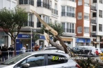 La tempesta deixa quantiosos danys per tot el terme municipal de Burriana