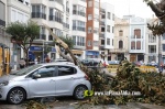 La tempesta deixa quantiosos danys per tot el terme municipal de Burriana