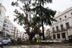La tempesta deixa quantiosos danys per tot el terme municipal de Burriana