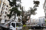 La tempesta deixa quantiosos danys per tot el terme municipal de Burriana