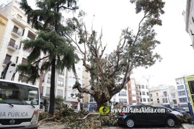 La tormenta deja cuantiosos daños por todo el término municipal de Burriana