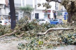 La tempesta deixa quantiosos danys per tot el terme municipal de Burriana