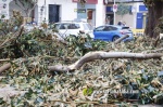 La tempesta deixa quantiosos danys per tot el terme municipal de Burriana