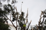 La tempesta deixa quantiosos danys per tot el terme municipal de Burriana