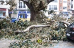 La tempesta deixa quantiosos danys per tot el terme municipal de Burriana