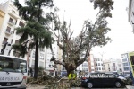 La tempesta deixa quantiosos danys per tot el terme municipal de Burriana