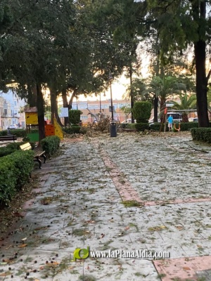 Fotografia /Galeria/2023/9/213135_134584/2_M1.jpg