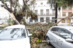 La tempesta deixa quantiosos danys per tot el terme municipal de Burriana