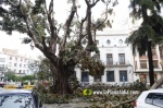 La tempesta deixa quantiosos danys per tot el terme municipal de Burriana