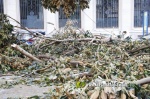 La tempesta deixa quantiosos danys per tot el terme municipal de Burriana