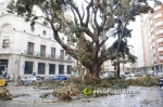 La tempesta deixa quantiosos danys per tot el terme municipal de Burriana