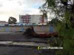 La tempesta deixa quantiosos danys per tot el terme municipal de Burriana