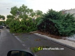 La tempesta deixa quantiosos danys per tot el terme municipal de Burriana