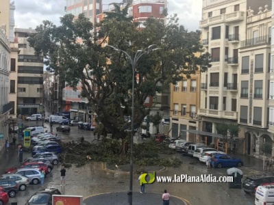 Fotografia /Galeria/2023/9/213135_134584/3_M1.jpg