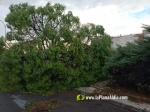 La tempesta deixa quantiosos danys per tot el terme municipal de Burriana