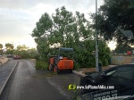 La tempesta deixa quantiosos danys per tot el terme municipal de Burriana