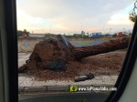 La tempesta deixa quantiosos danys per tot el terme municipal de Burriana
