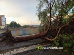 La tempesta deixa quantiosos danys per tot el terme municipal de Burriana