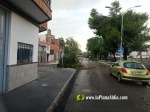 La tempesta deixa quantiosos danys per tot el terme municipal de Burriana