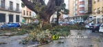 La tempesta deixa quantiosos danys per tot el terme municipal de Burriana