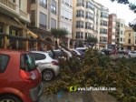 La tempesta deixa quantiosos danys per tot el terme municipal de Burriana