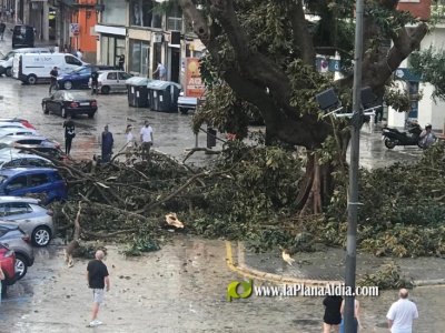 Fotografia /Galeria/2023/9/213135_134584/4_M1.jpg