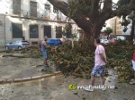 La tempesta deixa quantiosos danys per tot el terme municipal de Burriana