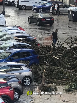 Fotografia /Galeria/2023/9/213135_134584/5_M1.jpg