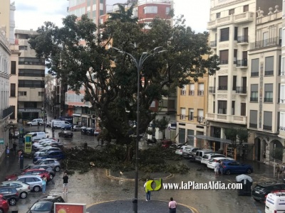 Fotografia /Galeria/2023/9/213135_134584/6_M1.jpg