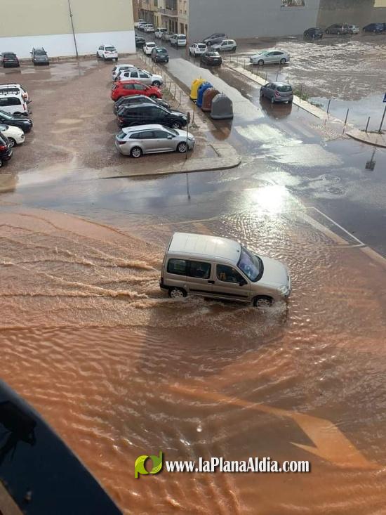 Se salva de miracle despr?s de caure-li un pi mentre circulava per una rotonda a Nules