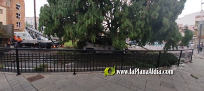 Fotografia /Galeria/2023/9/213136_134585/3_M1.jpg