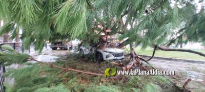 Fotografia /Galeria/2023/9/213136_134585/6_M1.jpg