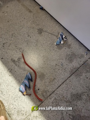 Fotografia /Galeria/2023/9/213137_134586/3_M1.jpg