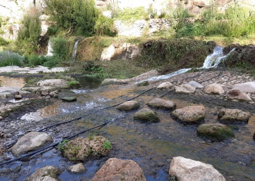 La Confederaci Hidrogrfica del Xquer instala sensors de trnsit pisccola en la presa Font del Nano per comprovar l'eficcia de la seua rampa per a peixos