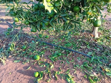 Fotografia /Galeria/2023/9/213175_134608/4_M1.jpg