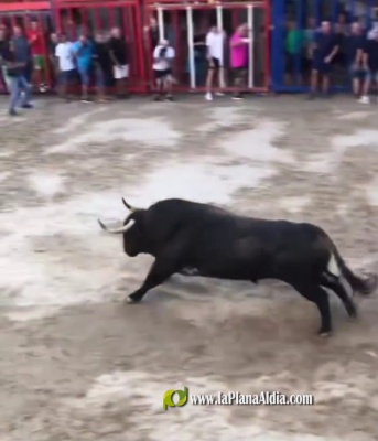 Fotografia /Galeria/2023/9/213234_134642/2_M1.jpg